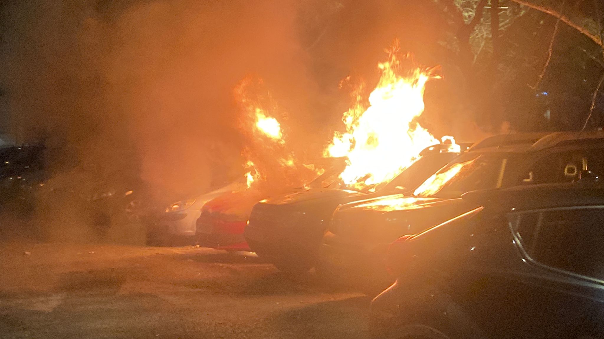 WhatsApp Image 2022-02-12 at 10.28.15 PM.jpeg